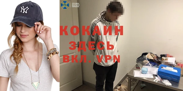 ГАЛЛЮЦИНОГЕННЫЕ ГРИБЫ Вяземский
