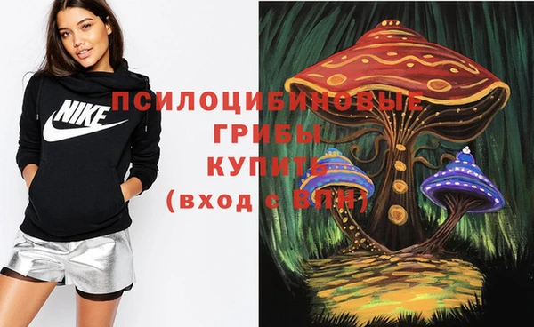 ГАЛЛЮЦИНОГЕННЫЕ ГРИБЫ Вяземский