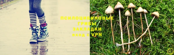 MESCALINE Волоколамск